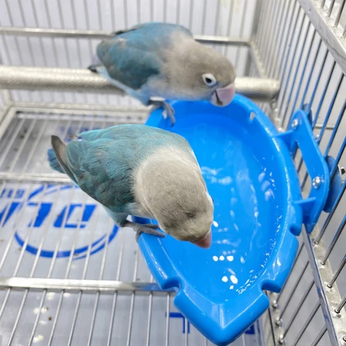 새 목욕 욕조 앵무새 새장, 걸이식 목욕 상자, 새 목욕 욕조 앵무새 목욕 용품, 방 피더 4