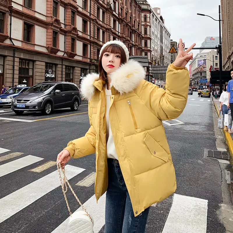 

Photo Shoot 2019 Winter South Korea East Japonicus down Jacket Women's Large Fur Collar Loose-Fit Students BF Cotton-padded Clot