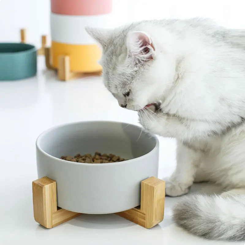 

Ceramic Pet Bowl Elevated Raised Cat Bowl With Wood Stand Cats Dogs Feeding Dish No Spill Cat Food Water Feeder Pet Supplies