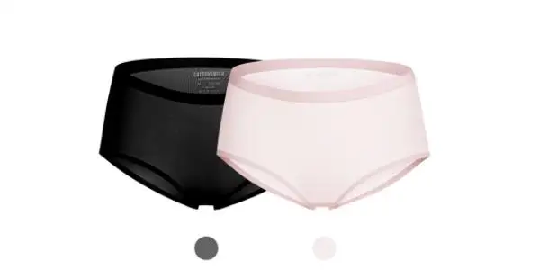 2 шт./партия, хлопок Xiaomi Smith Air Sensatio, нижнее белье для женщин, сверхтонкие плавки из фибры, удобные дышащие женские - Цвет: S