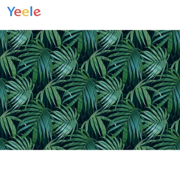 

Tropical Palm Tree Leaves Green Screen Backdrop Newborn Baby Shower Kids Birthday Party Photography Background For Photo Studio