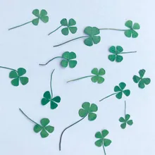 Прессованный высушенный цветок зеленого цвета с обеих сторон, 120 шт. 1,5 см