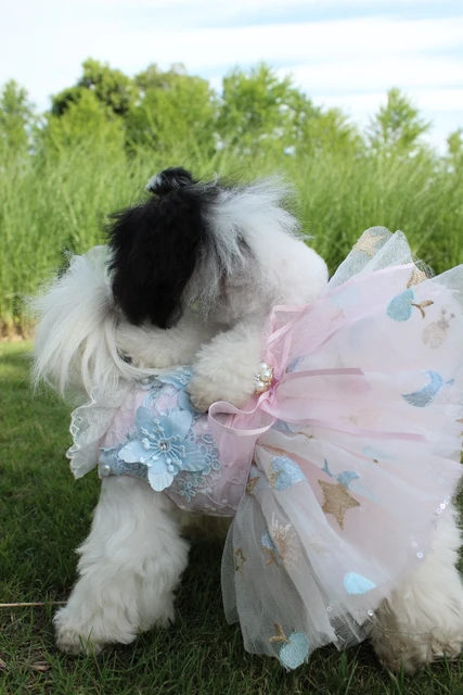 Canine Couture: The Most Luxurious Dresses Ever Made For Dogs – Marc Petite