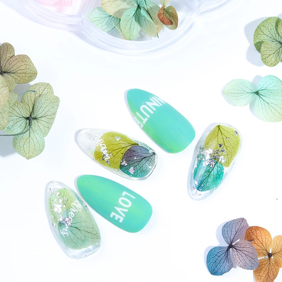 1 колесо сушеные цветы 3D дизайн ногтей украшения градиент натуральные наклейки с цветами для УФ гель-лака маникюрные аксессуары наконечник TR1524