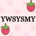 YWSYSMY Store