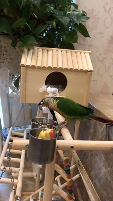 O1CN01IMNCBF1jM9vT3acj5_!!0-rate.jpg_400x400