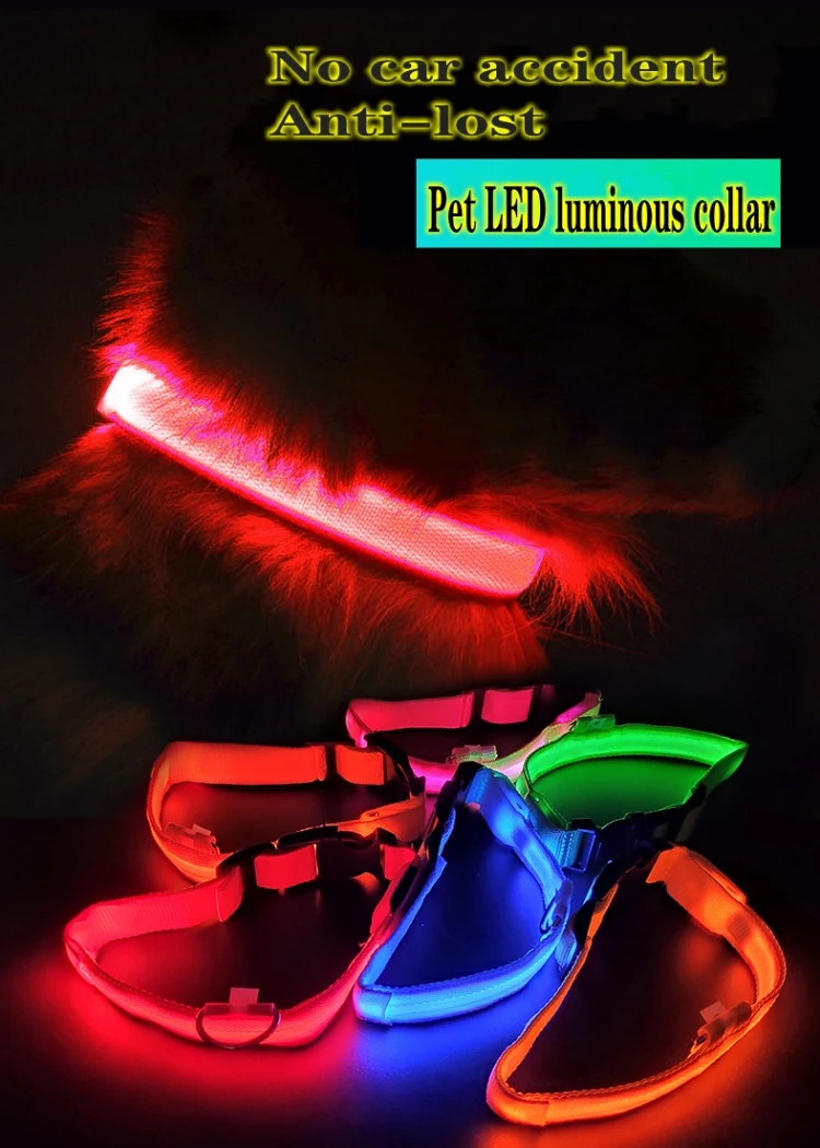 USB charging LED dog light pet dog collar anti-lost at night/avoid cat and dog puppies car accident flashing luminous collar