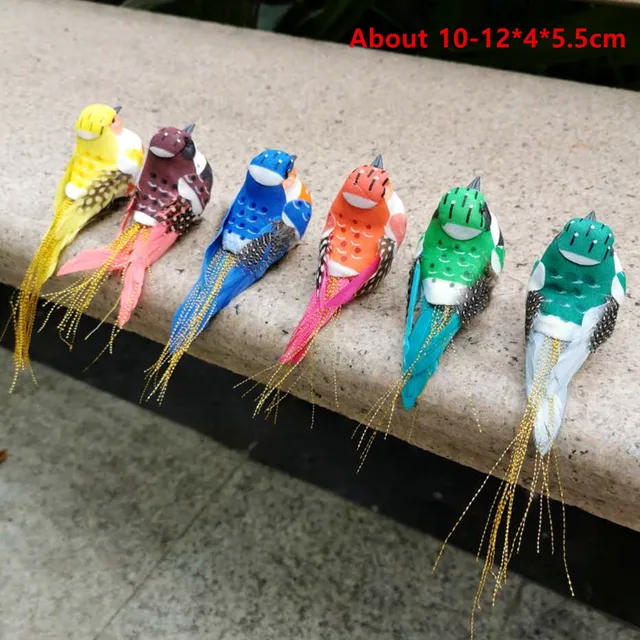 Image 20