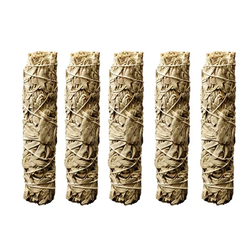 

5 Bundles White Sage Pure Leaf Plant for Room Purification Smoke Purification Healthy Room Backflow Incense Leaf