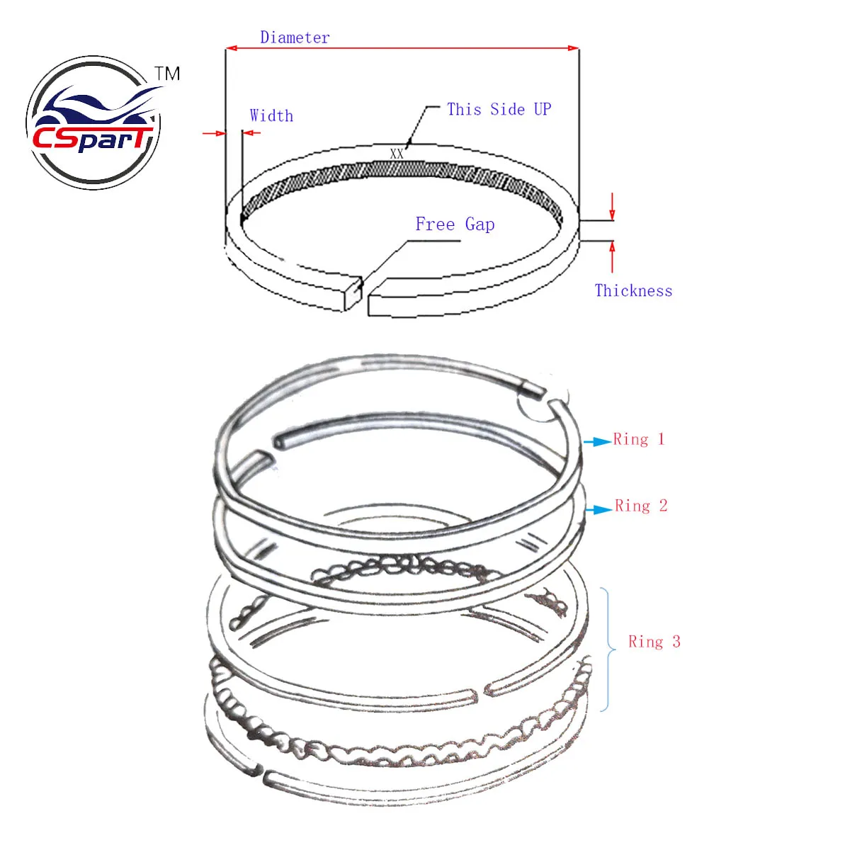 Piston Ring