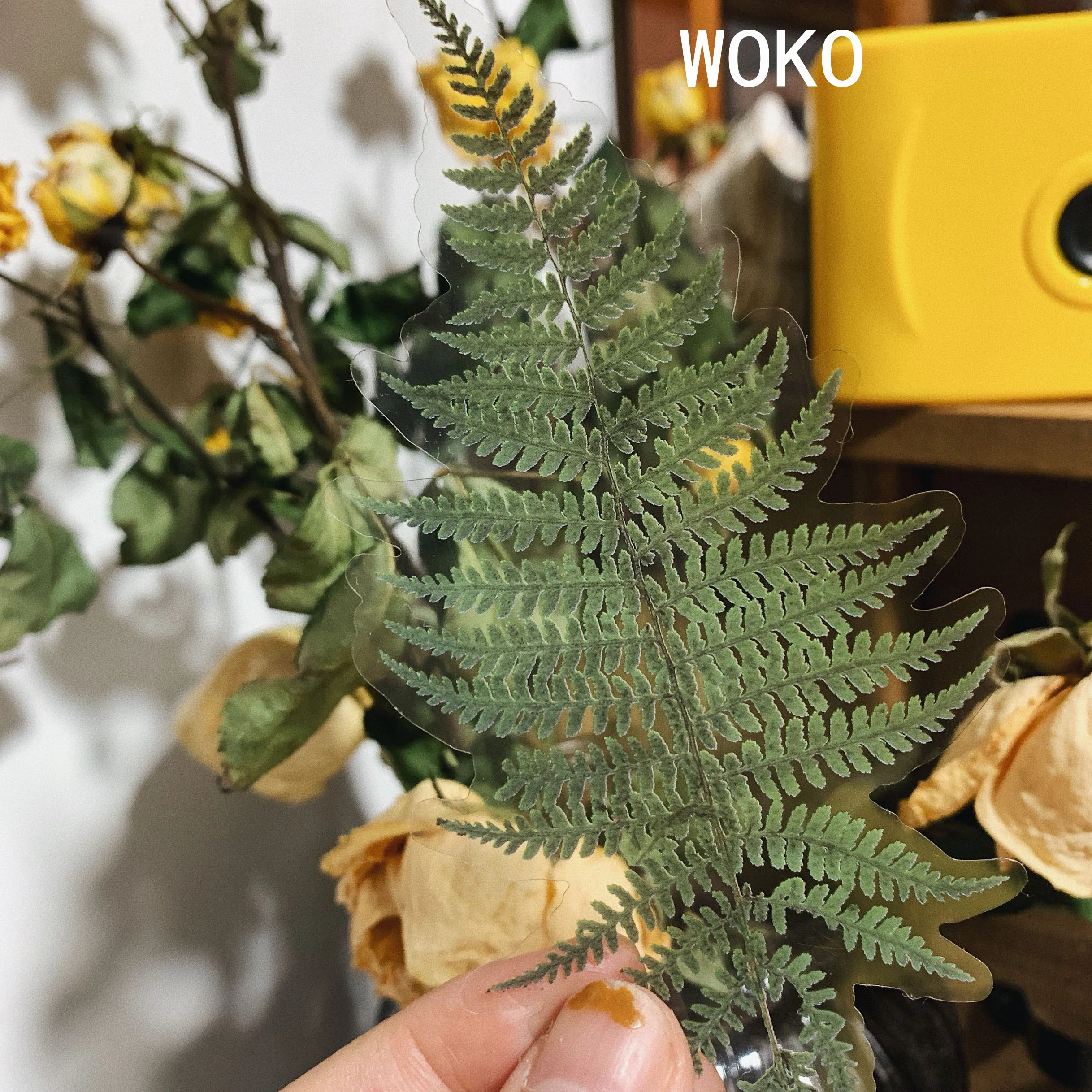 WOKO 20 шт./упак. прозрачный цветок, растение, свадебная брошь, ретро папоротник/эвкалипты/сухих цветов/хлопок/филиал Стикеры "сделай сам" Пуля журнал Скрапбукинг