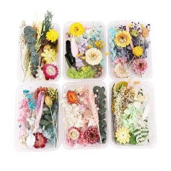 

1 Box Real Mix Dried Flowers Aromatherapy Candle Soap Making Craft DIY Material 3D Greeting Cards Botanical Painting Accessories