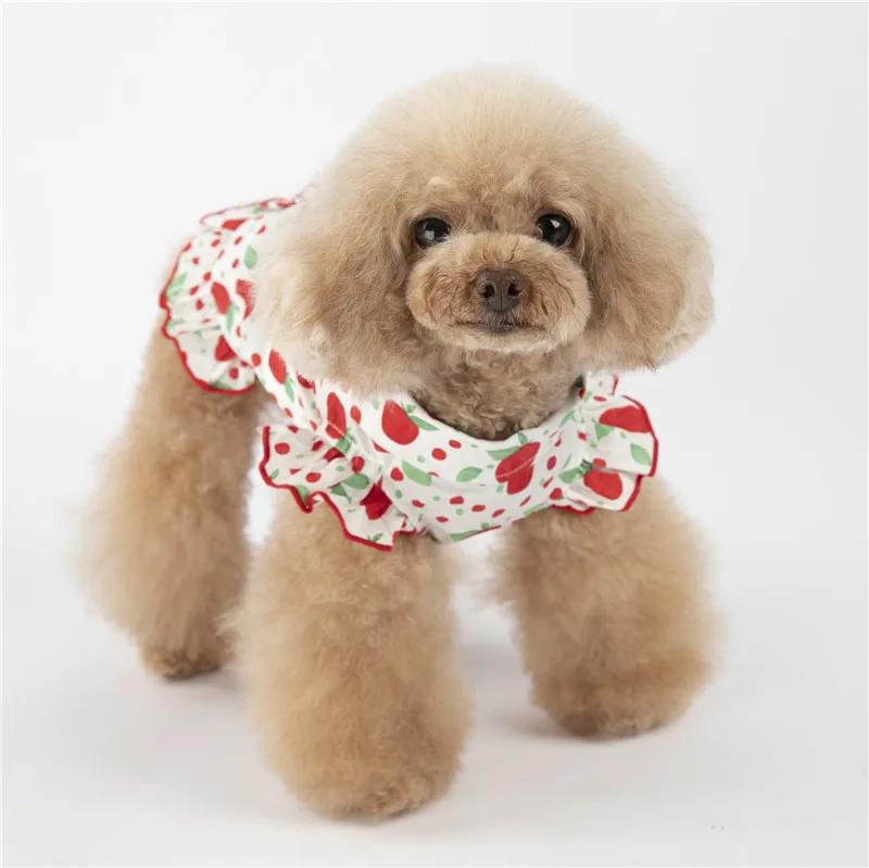 puppy dog shirt summer small dog (14)