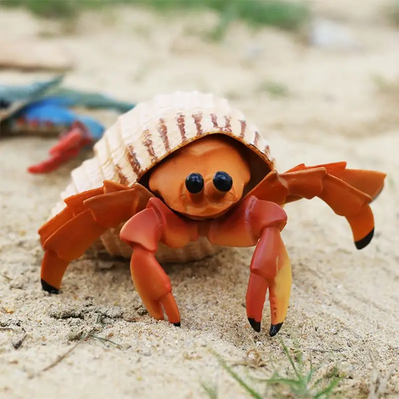 Морские жизни отшельник Краб модель игрушки Моделирование фигура обучающая игрушка для детей подарок отличный обучающий инструмент