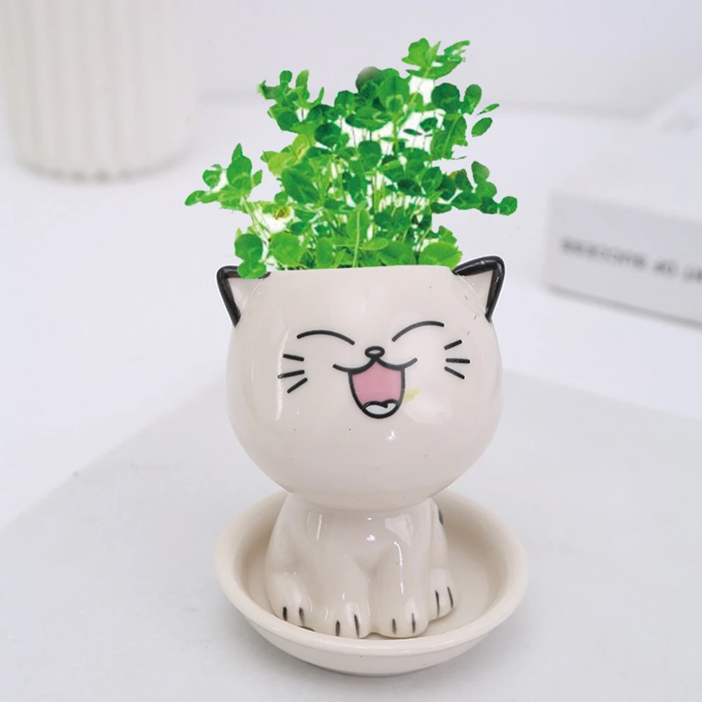 Mini Cat Shaped Ceramic Flowerpot Cartoon Cute Hand Desktop Potted Expression Cat Plant Pot Desk Decorate Small Ornaments flower pot plant pot