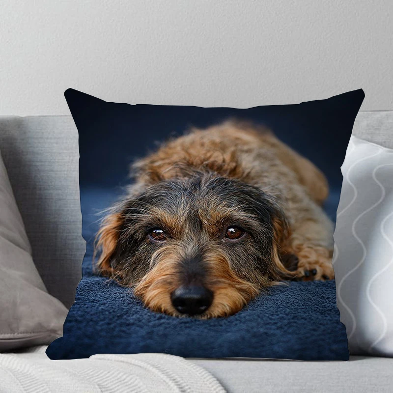 1 шт. 45*45 см милая собака подушка чехол Wirehaired подушки с таксой диван кровать