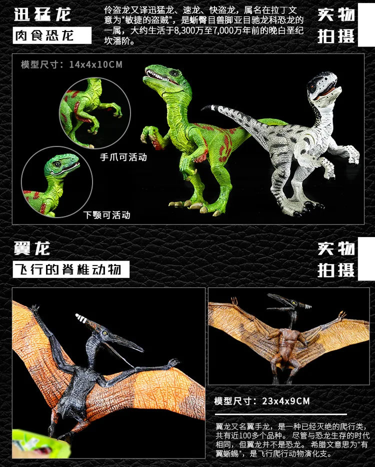 Модель динозавра большой размер T-Rex модель животного дети мальчик игрушка Наборы Динозавр яйцо 12 лет