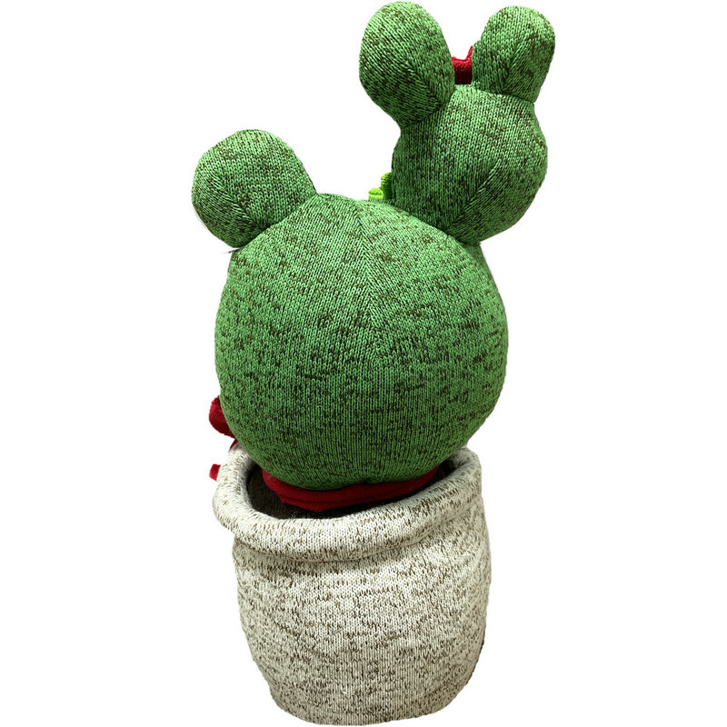 Start Up-Cactus Doll