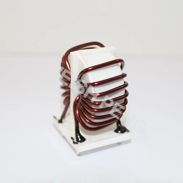 Катушка катушки индуктивности стандарта 20 А катушка с магнитным кольцом