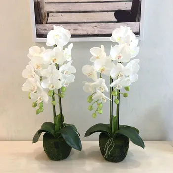 

Imitation Flowers Butterfly Orchid Plant Potted Plant Decorative Flower Office Filming Props Artificial Flower Wedding