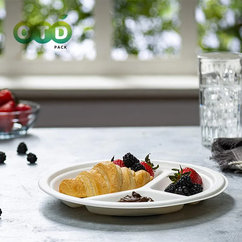 Biodegradable Plates - 100 pc. Disposable White Compostable Plates