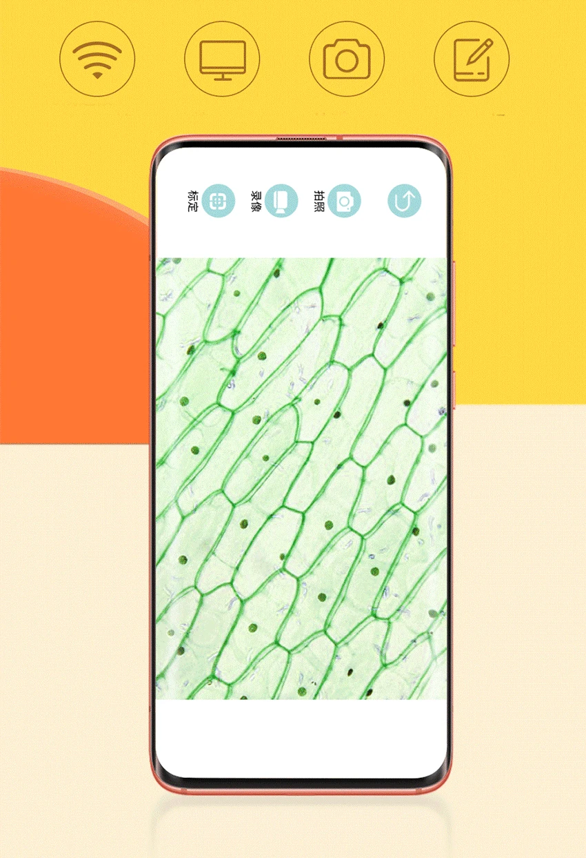 Children Biological 400X WIFI Digital Electronic Portable Microscope Home School Science Educational Toy Gift For Phone PC Ipad