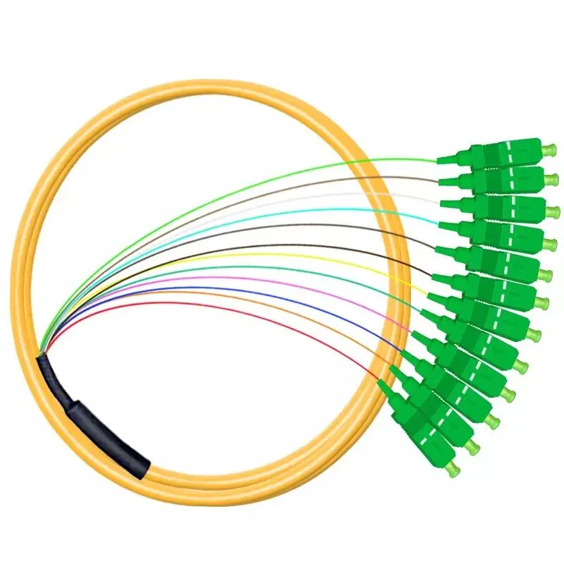

12 core pigtail fiber optic patch cord 0.9mm 1.5 meters SC/APC