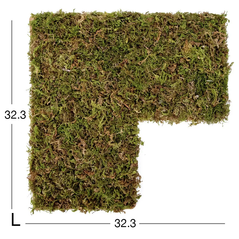 Moss mat-366