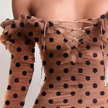 

Summer 2020 Hot Sale Sexy Women's Polka Dot Flocked Net Long Sleeve Dress