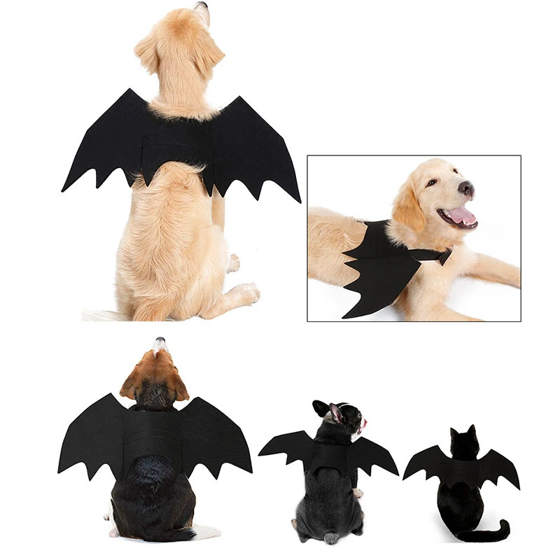 Ailes De Chauve Souris Pour Chien Et Chat Costume De Vampire Deguisement Fantaisie Pour Chien Et Chat Pour Fete D Halloween Costume D Anniversaire Cosplay Accessoires Aliexpress Ailes De Chauve Souris Pour Chien Et Chat Costume De Vampire Deguisement Fantaisie Pour Chien Et Chat Pour Fete D Halloween Costume D Anniversaire Cosplay Accessoires Aliexpress