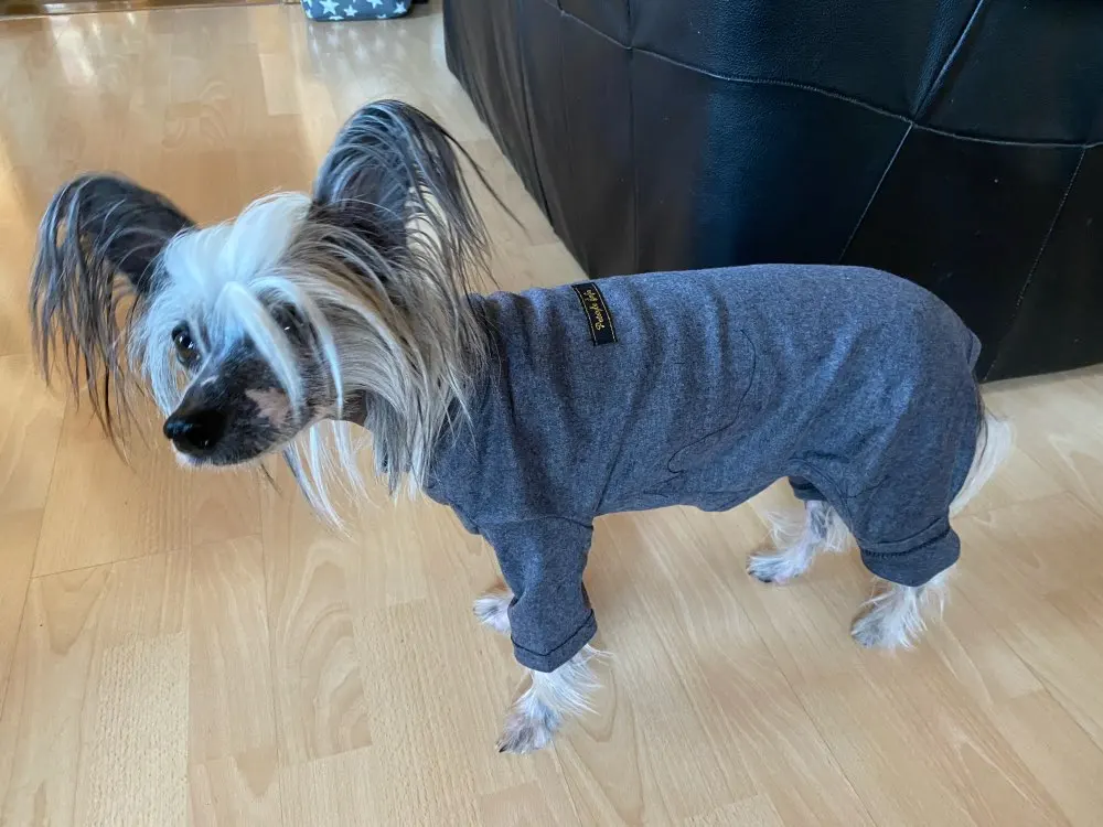 U71ea05aa05c14aa8b733baa0755b7cfeJ