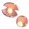 Luz nocturna de cerámica para decoración de escritorio, Concha, decoraciones de almacenamiento de joyería, lámpara de mesita de noche de estilo europeo rosa ► Foto 3/6