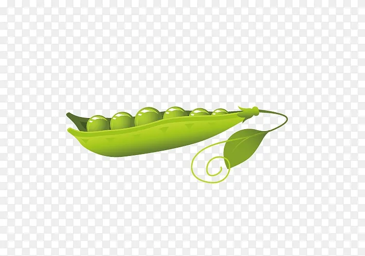 豌豆荚png图片素材免费下载 图片编号yvmgxnvj Pngbag素材网