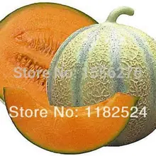 Сочные и сладкие 50+ Heirloom Charentais Cantaloupe P-semillas~ rganic Дыня Фрукты sementes