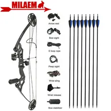 

Archery Compound Bow Arrows Set 35-50lbs Adjustable Hunting Bow 8pcs spine 500 Carbon Arrows Bow Hunting Accessories