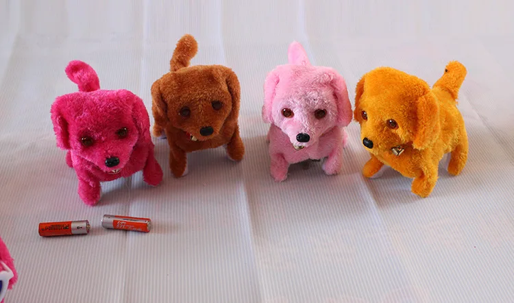 2858419855_748380050