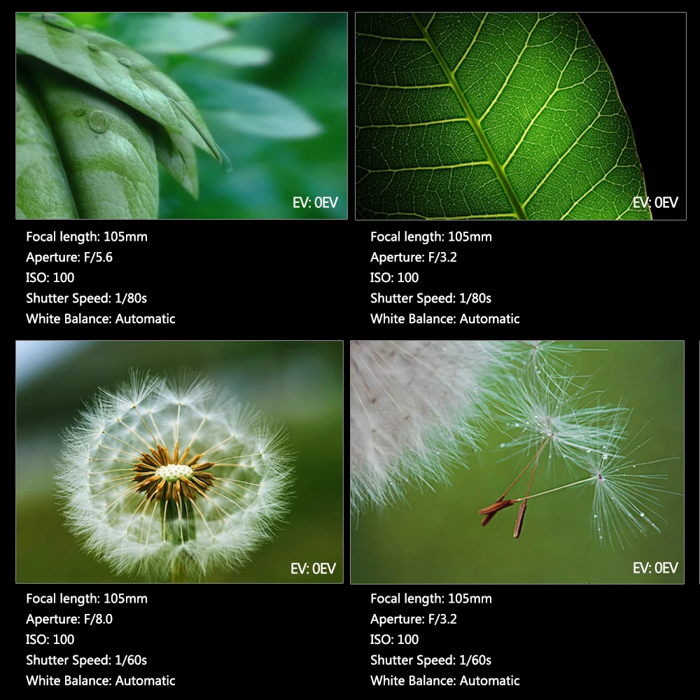 MK-MT24C-II-canon-8(1)