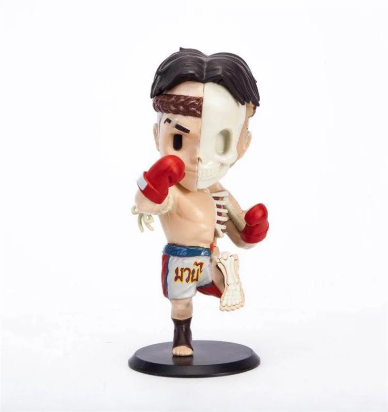 

4D Xxray Boxer Muay Thai red by jpx & Amp; Mighty JASON freeny