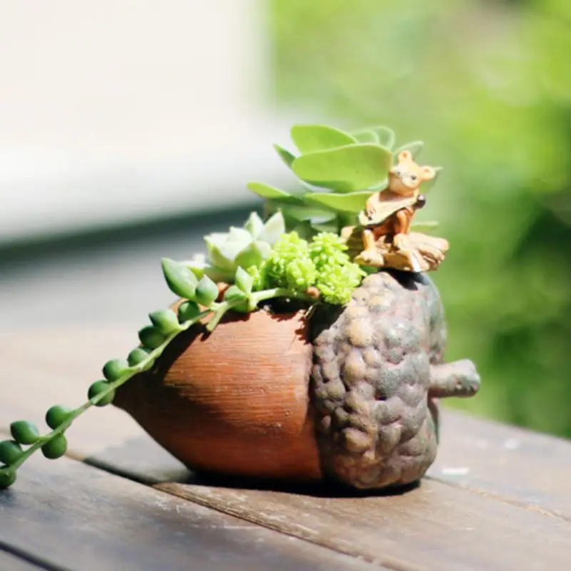 Мини филберт сосновый конус суккулентные горшки для растений цветочный горшок ваза для бонсай пейзаж