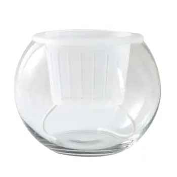 

Hydroponics Plant Water Storage Glass Bottle Water Absorption Flowerpot with Removable Planting Basket (Transparent)