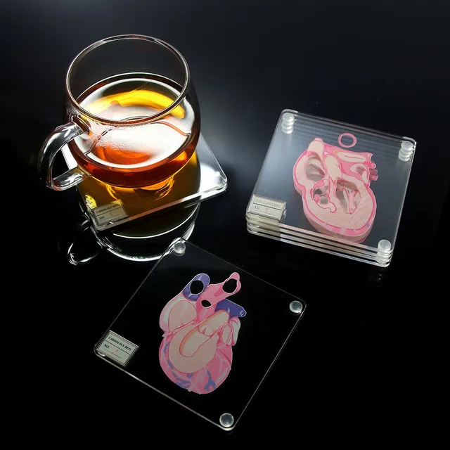 Anatomic Heart Specimen Coasters: A Unique Blend of Science and Style