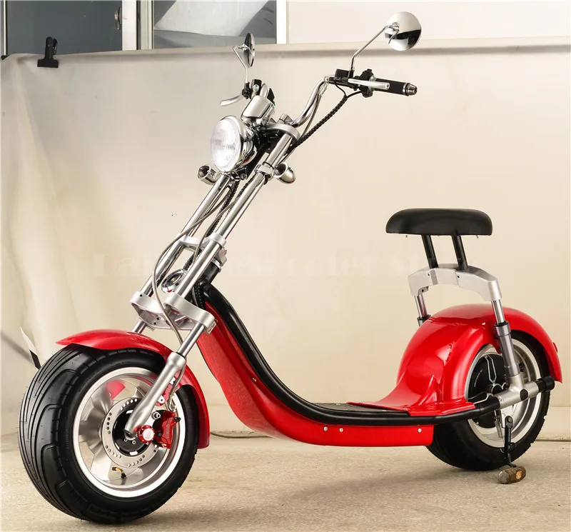 Daibot Electric Scooter Motorcycle 2 Wheeled Self Balancing Scooters  Big Tire Citycoco Electric Scooter 1000W 60V (24)