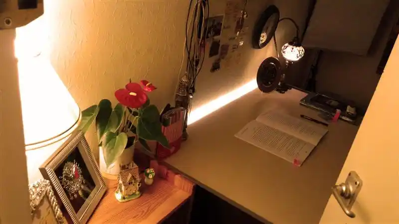 ColdLight/WarmLight светодиодный свет полоса DC5V USB питание шнур праздничное освещение, Рождество Новый год вечерние свадебные украшения