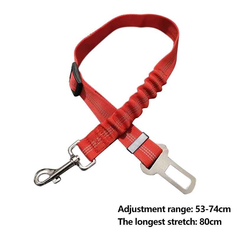 10997155886_575051838-1