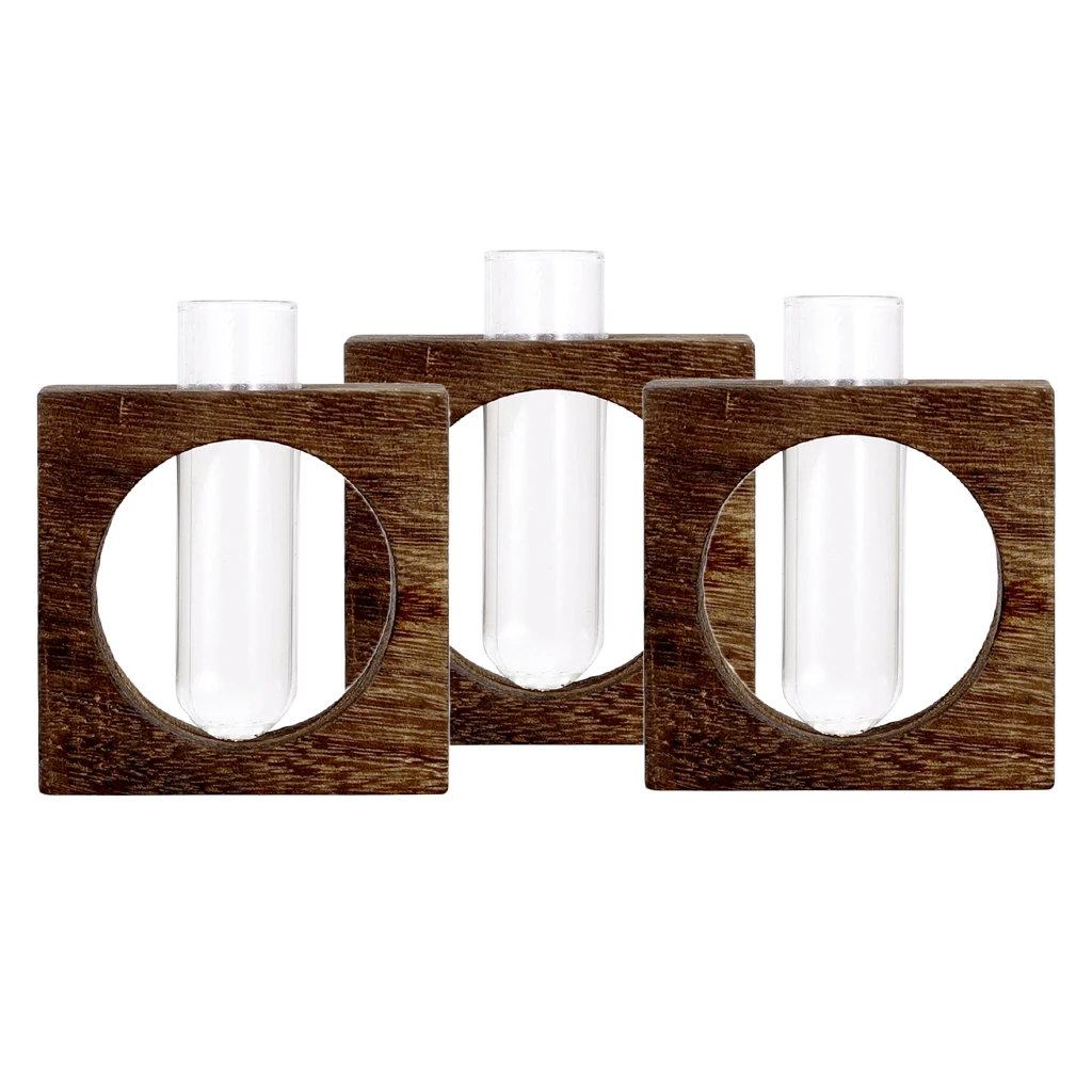 3x Test Tube Glass Vase Hydroponic Plants Planter Flower Pots Garden Decor