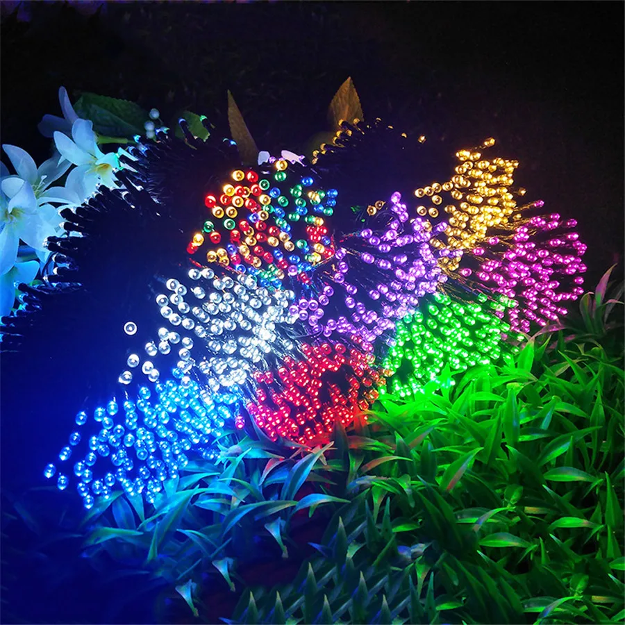 4317622032_1709012235