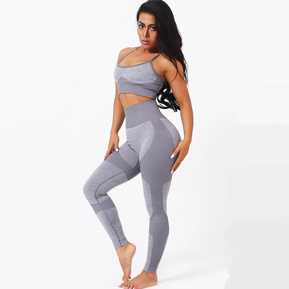 Seamless Yoga Clothing Set Women Bra Leggings Suit Tights Pants Running Sport High Waist Leggins Gym Fitness Training Sportswear - Цвет: Light gray (Sets)