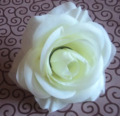 TB22voLgVXXXXcQXXXXXXXXXXXX_!!53598555.jpg_400x400