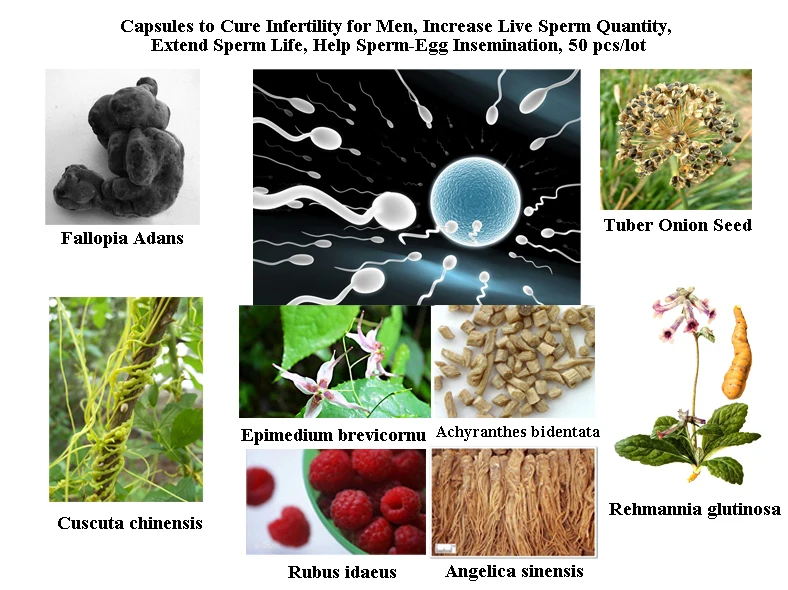 TCM Formula to Cure мужское бесплодие, увеличение показателей осеменения спермы, увеличение срока службы спермы во влагалище|Товары для похудения| | АлиЭкспресс