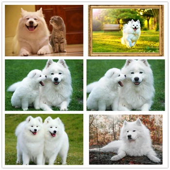

Diamond Painting Dog Cross Stitch Diamond Embroidery Samoyed Diamond Mosaic Picture Of Rhinestone Painting With Diamonds